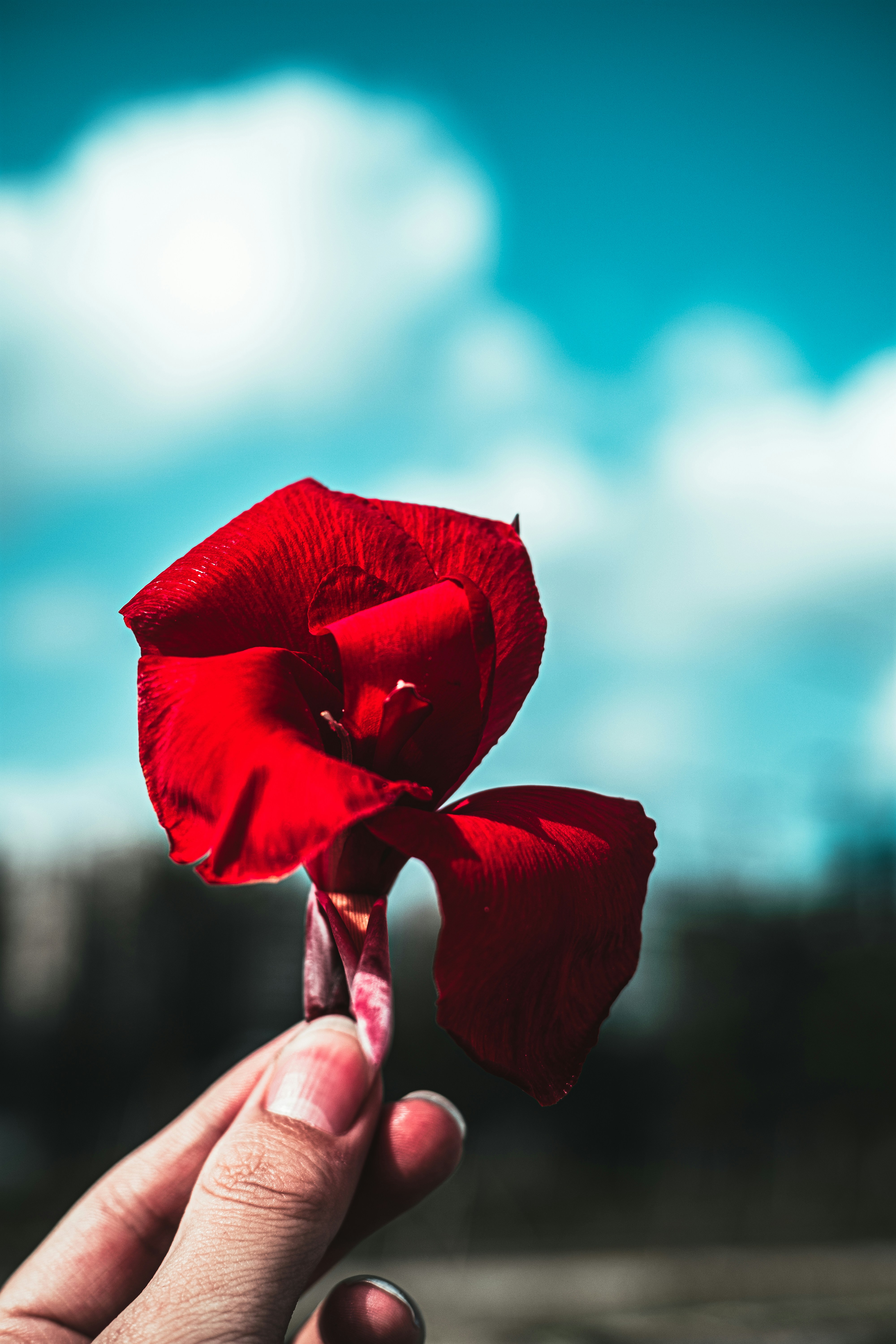 Photo by xiexianghua