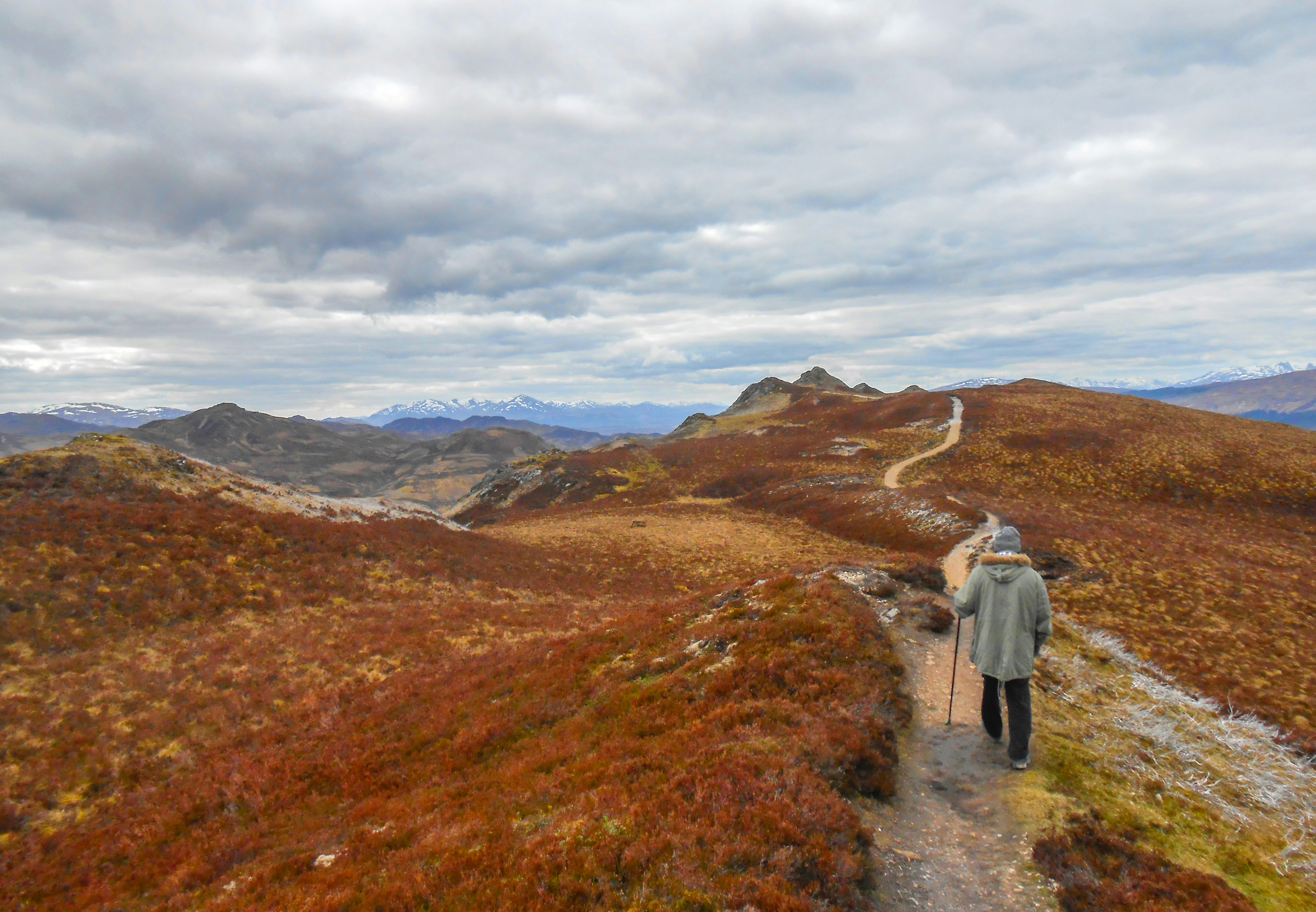 couple walking on green grass field during daytime
