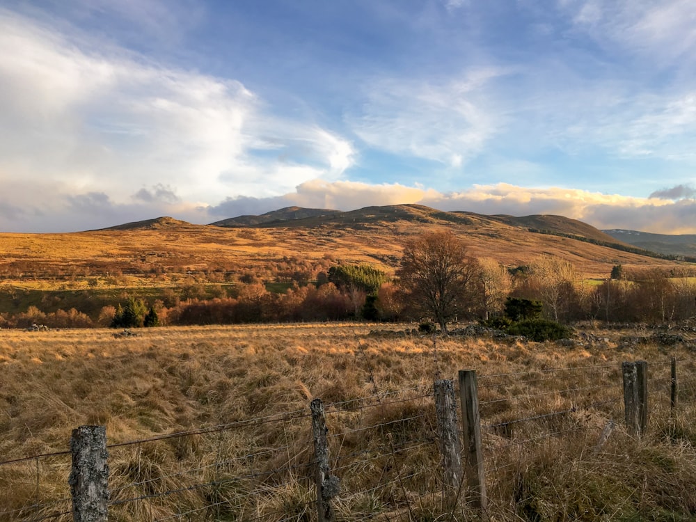 brown grass field near brown mountains under white clouds during daytime