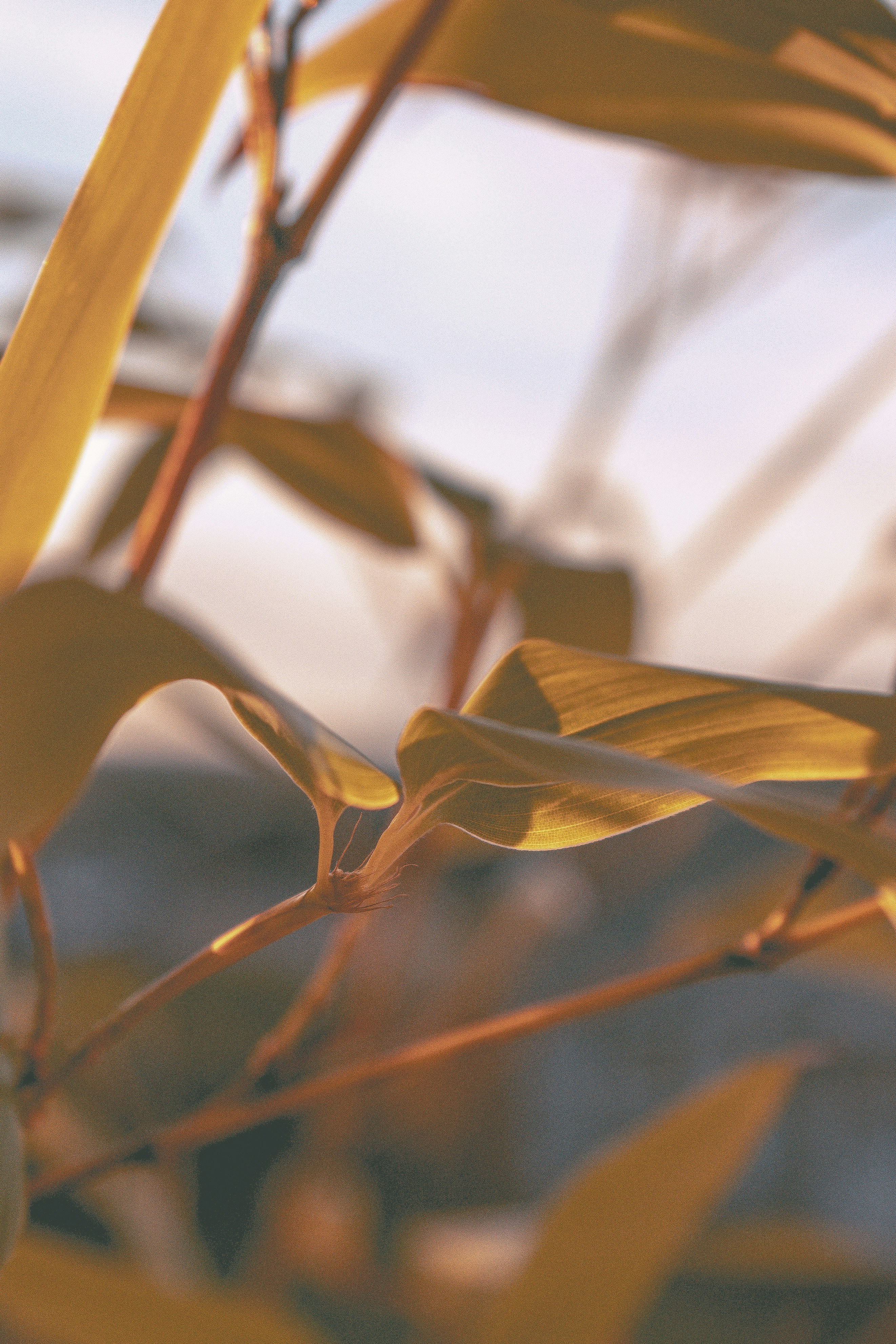 Photo by colefreeman