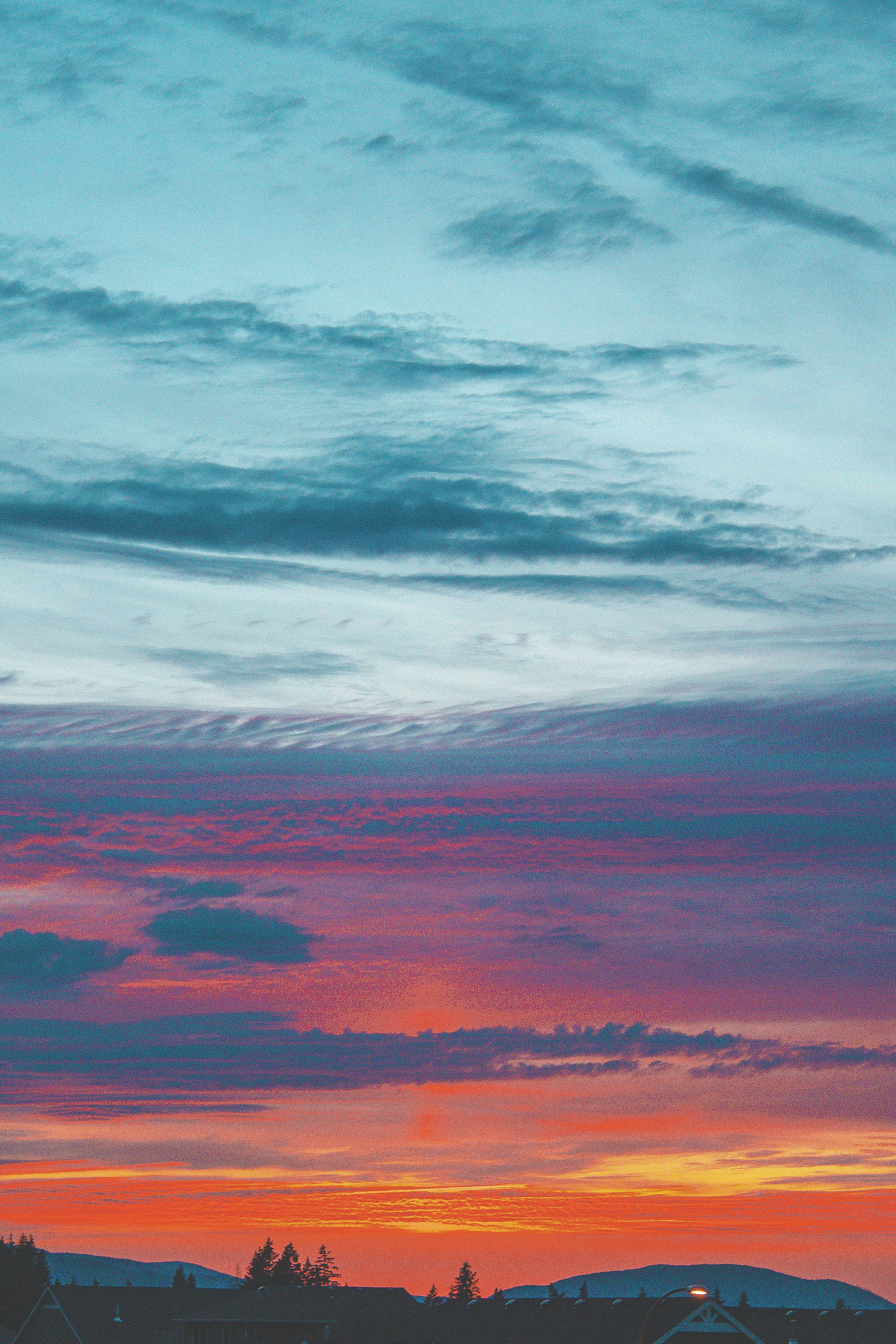 Photo by colefreeman