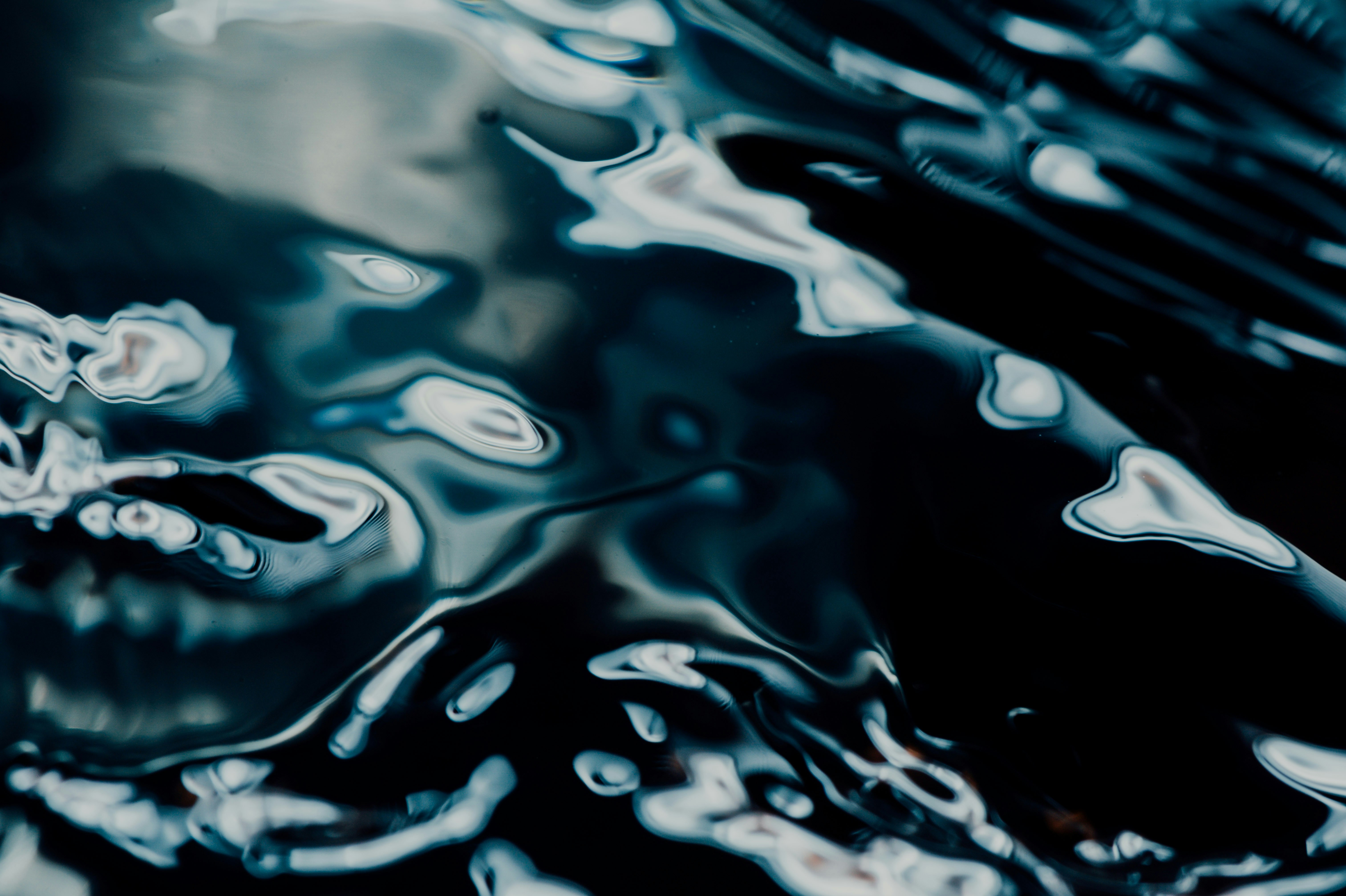 Photo by chuttersnap