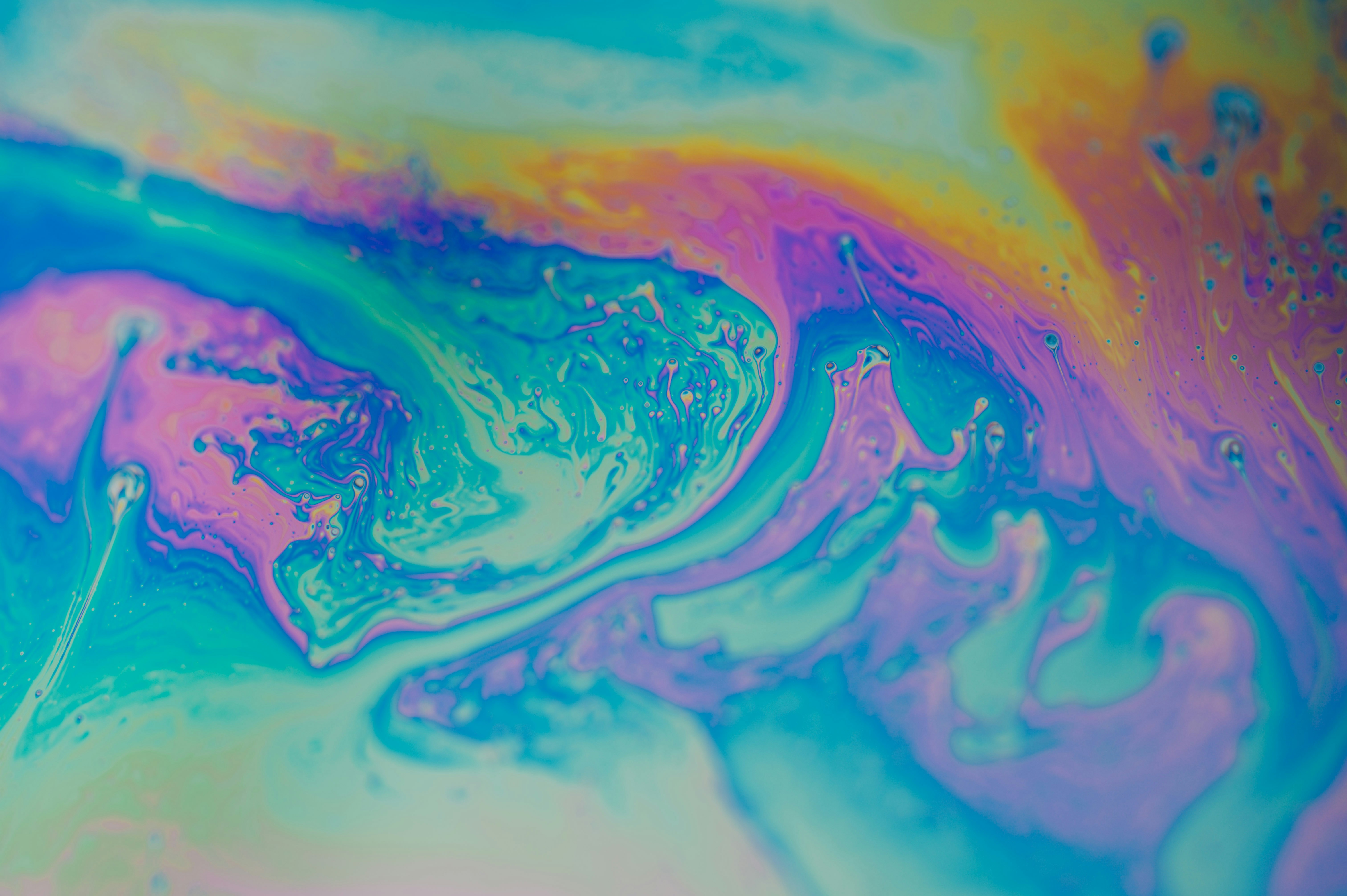 Photo by chuttersnap