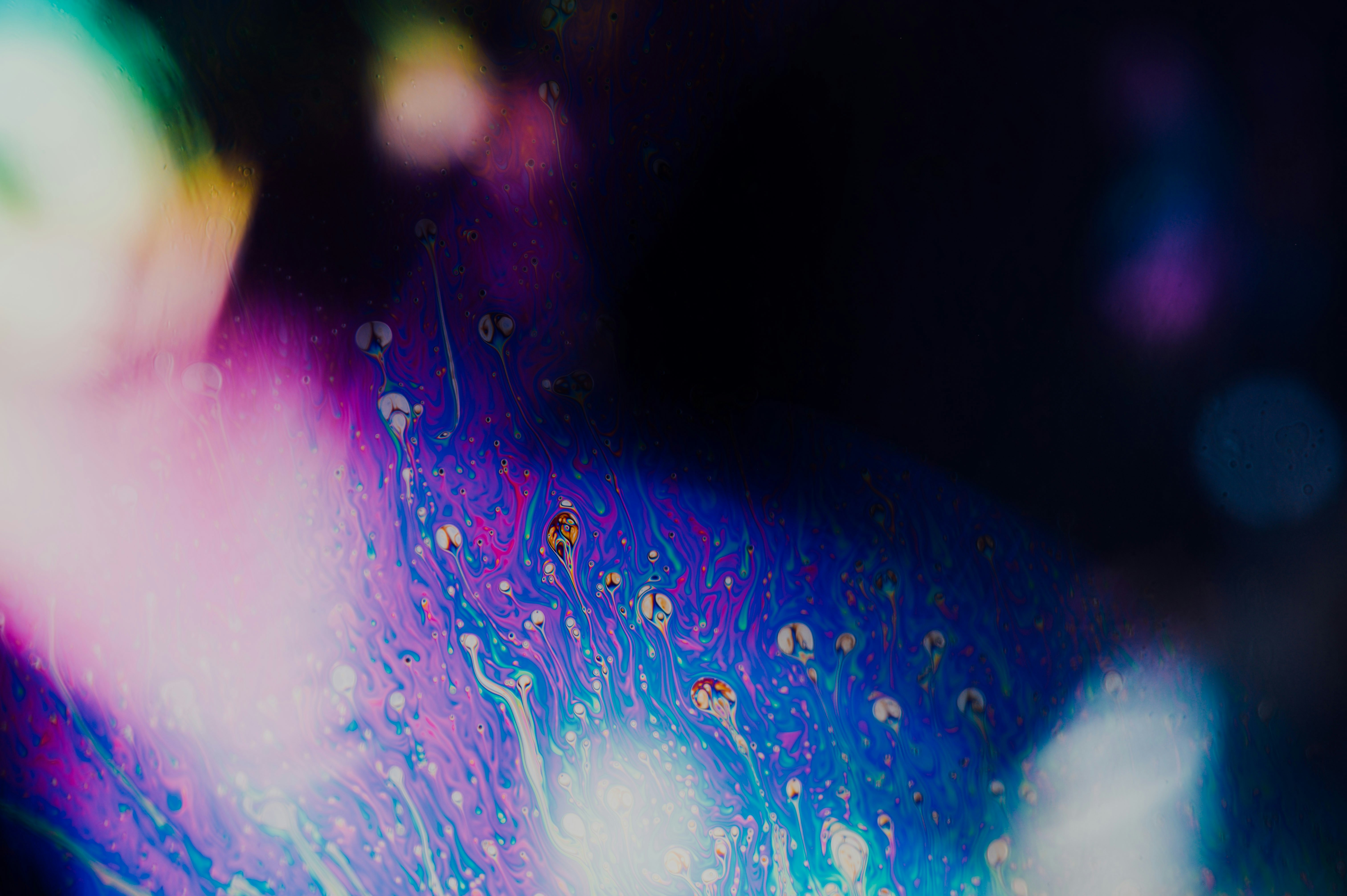 Photo by chuttersnap