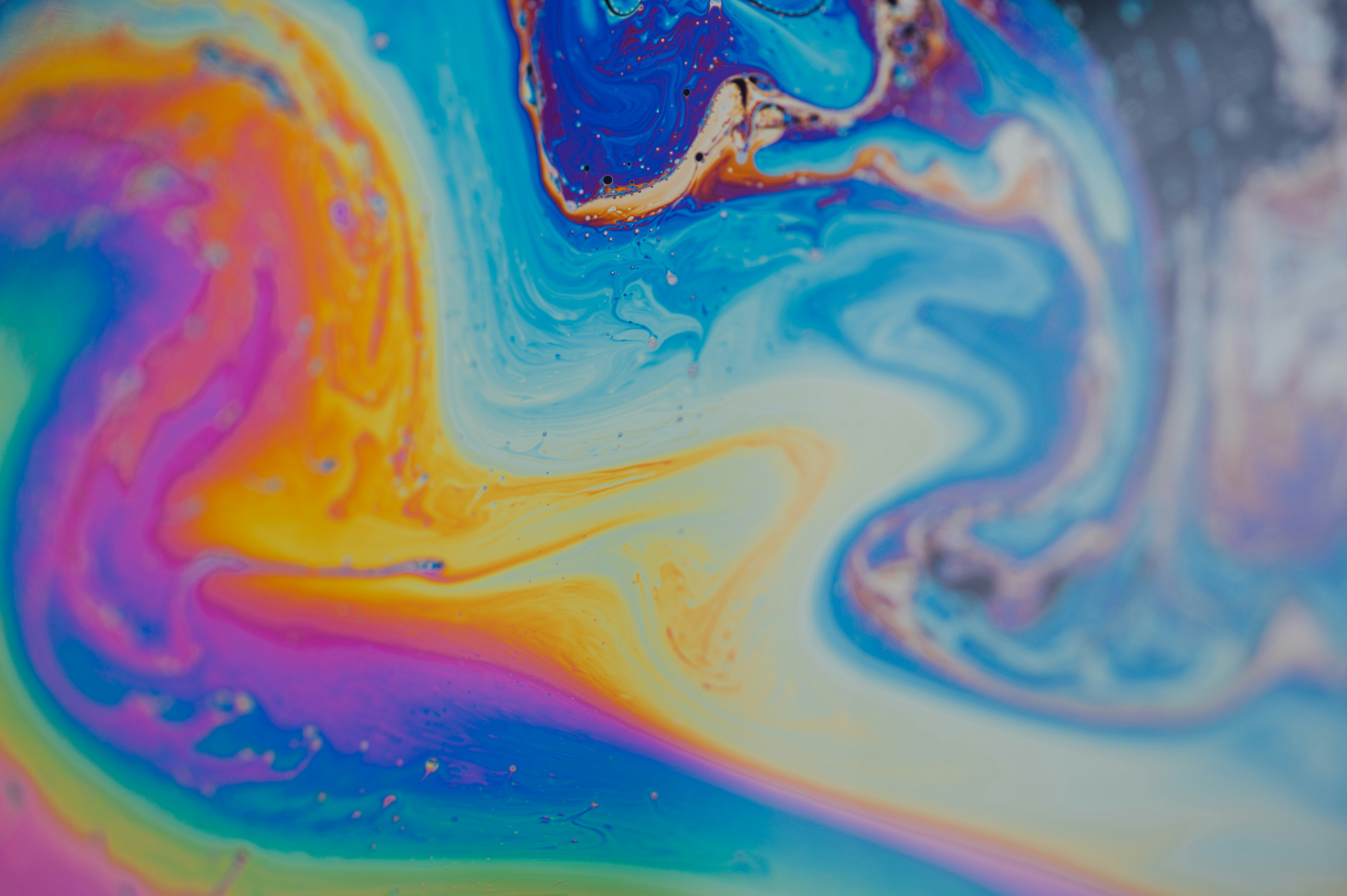 Photo by chuttersnap