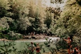Family enjoying a peaceful afternoon by the nearby Liucura river surrounded by lush forest