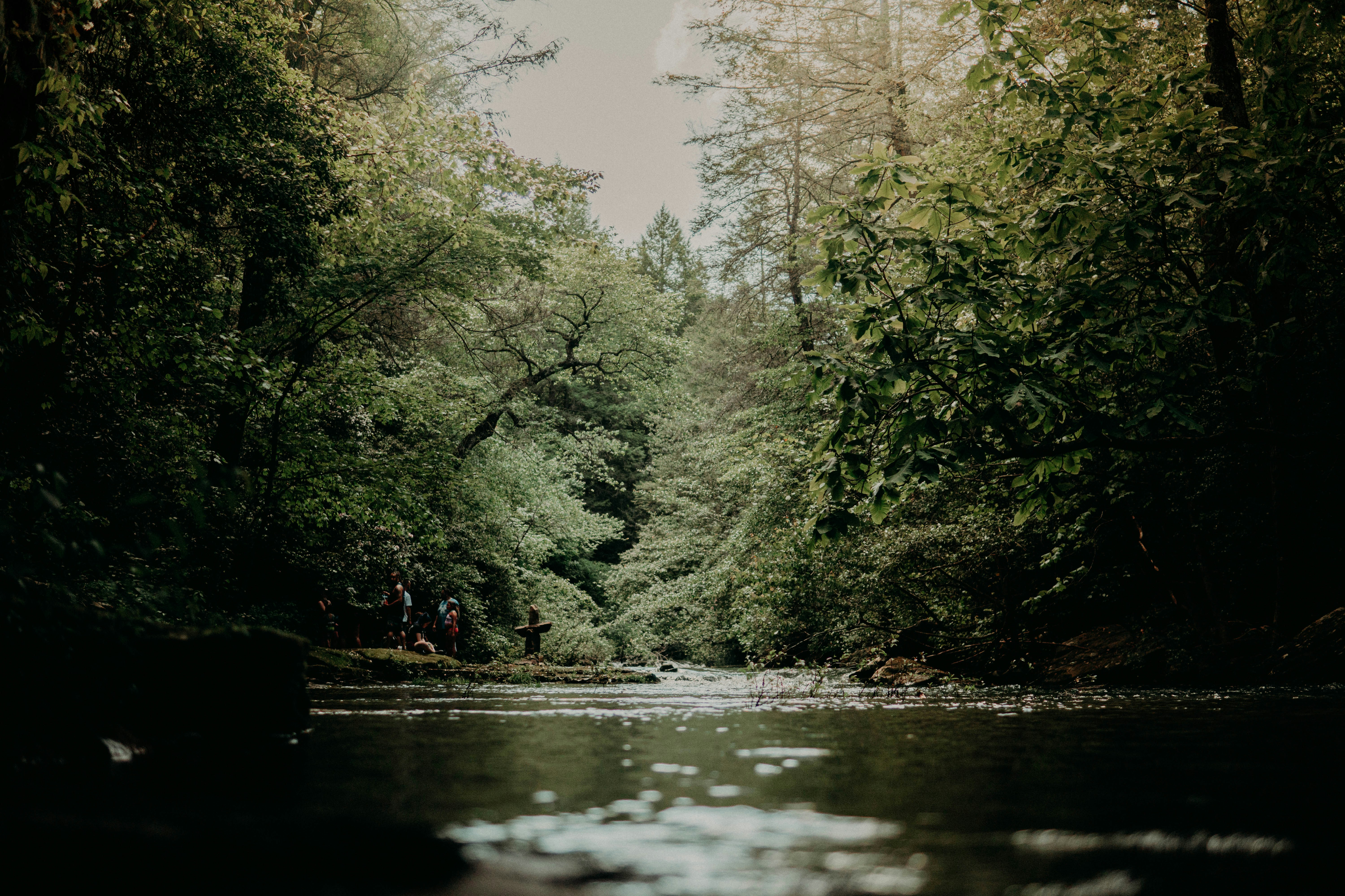 Photo by seansinspired