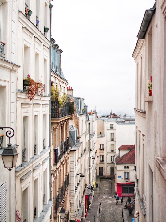 white and brown concrete buildings during daytime in Sacré-Cœur France