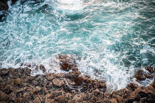 photo of Fingal Head Shore near Burleigh Head National Park