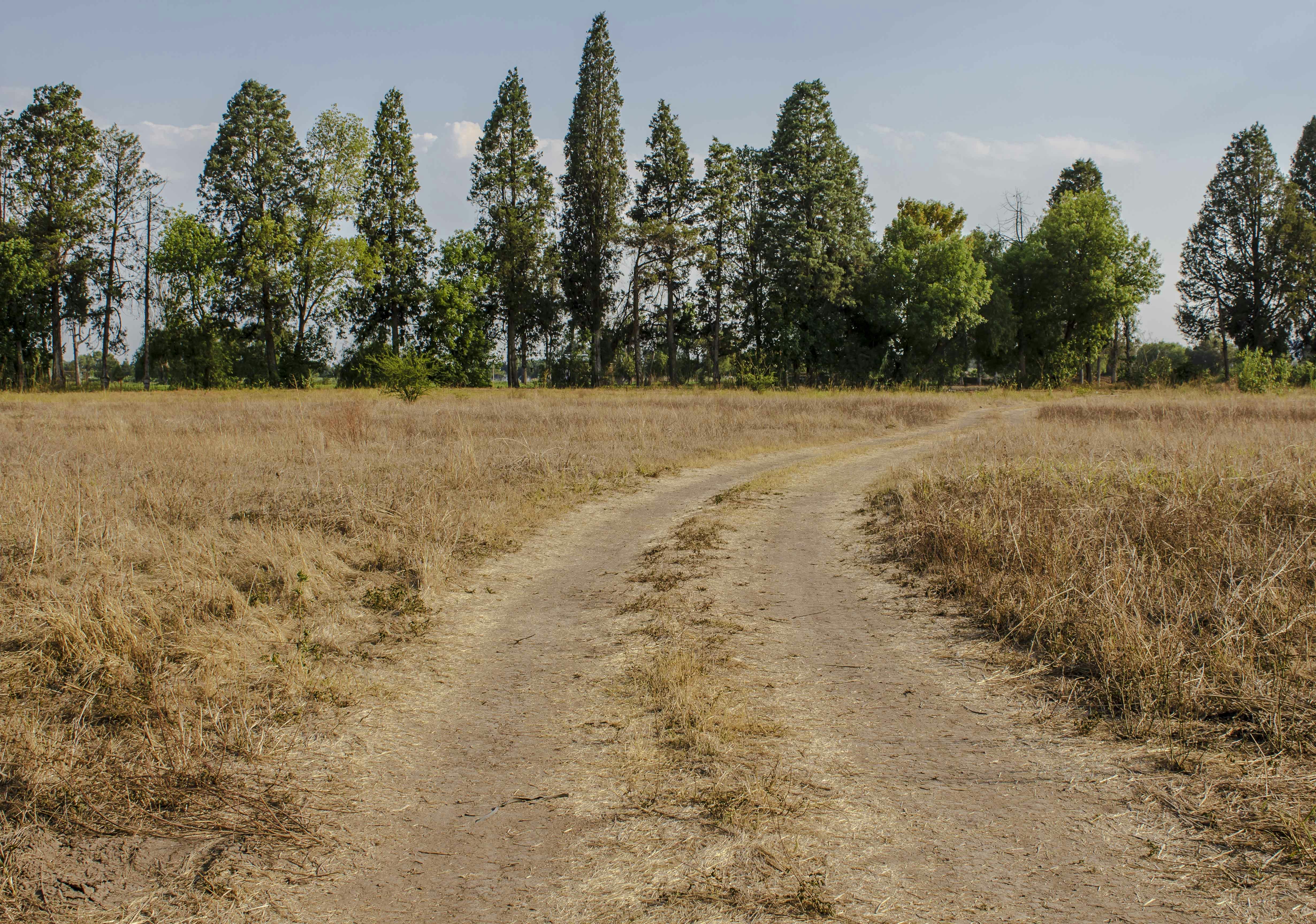 Photo by silver26class