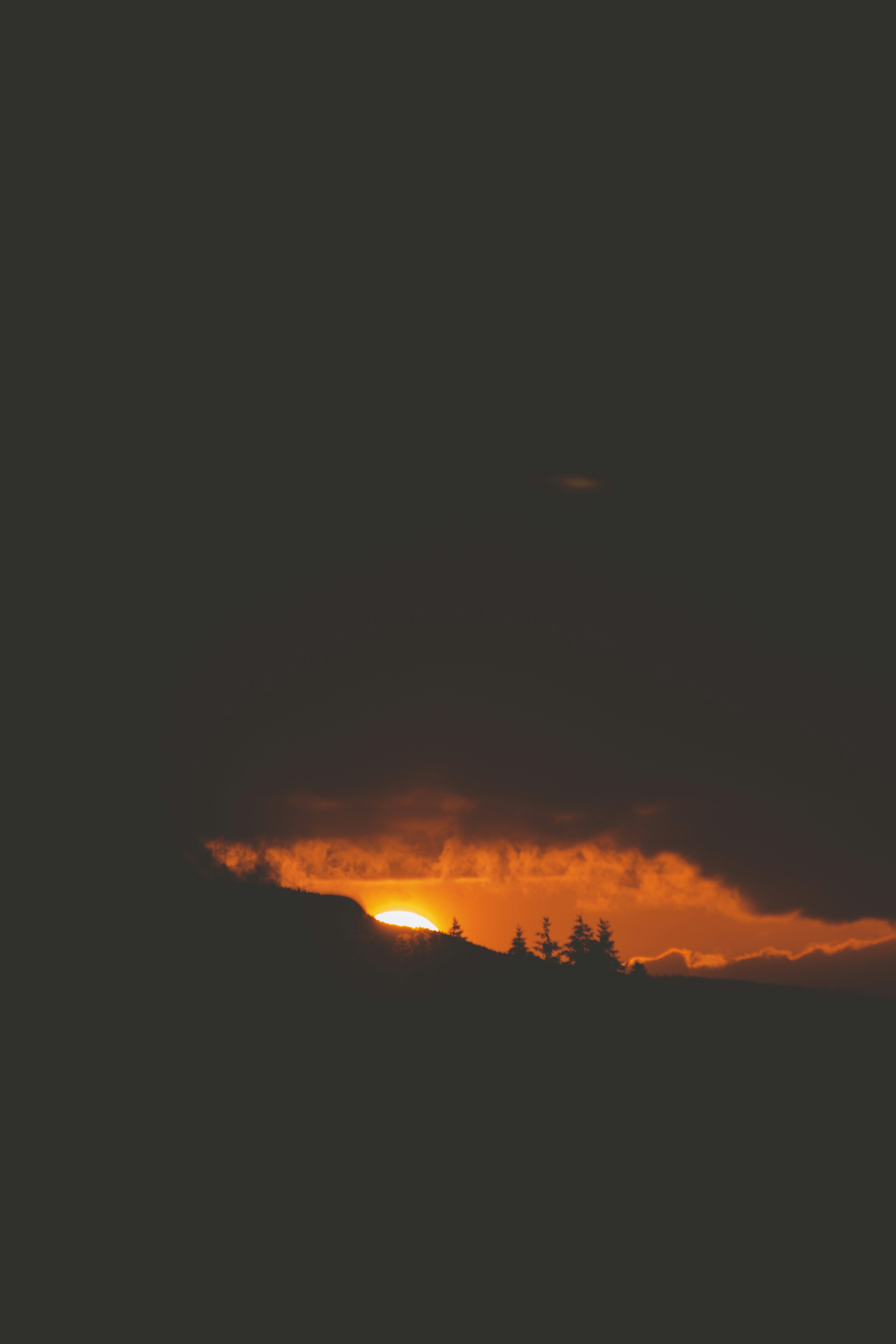 Photo by colefreeman