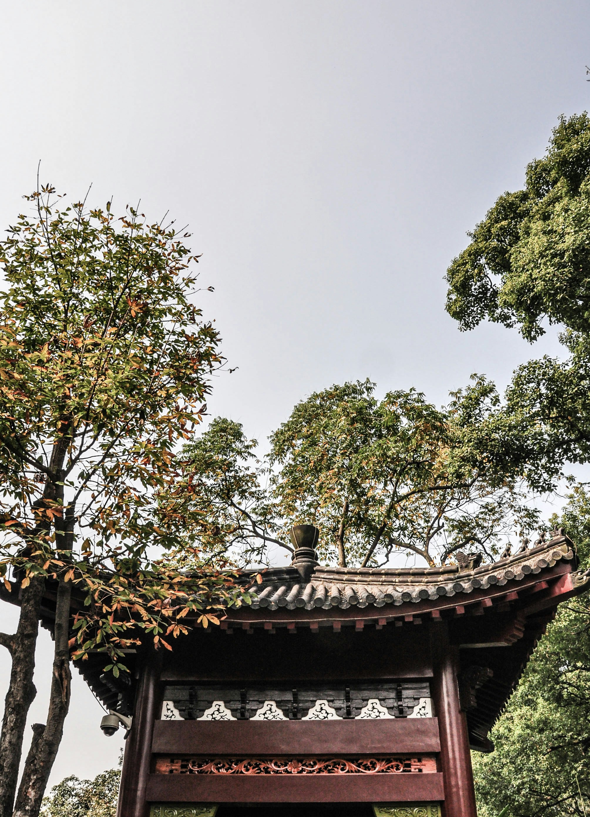 Photo by sarahjeehaechoi