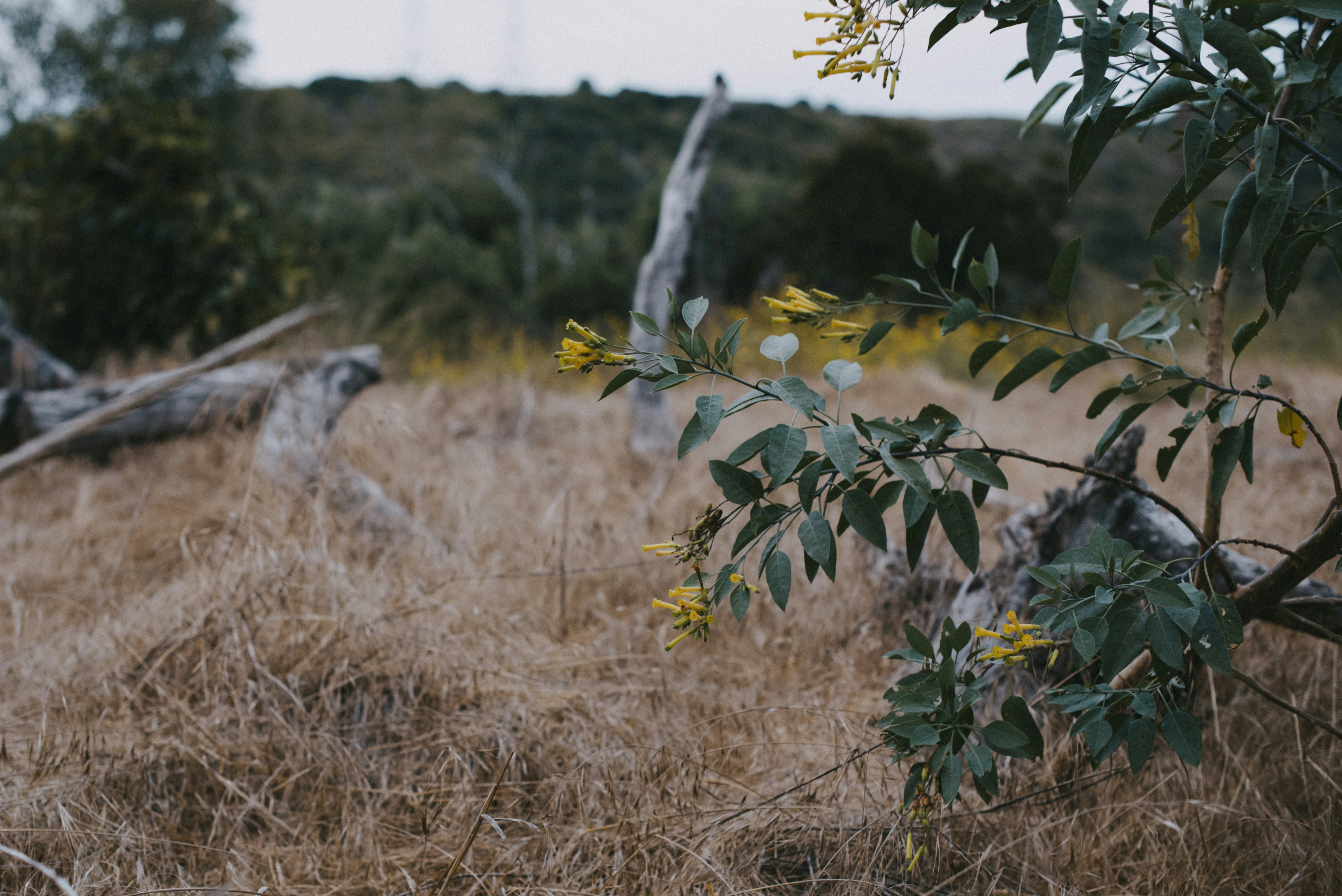 Photo by octoberroses