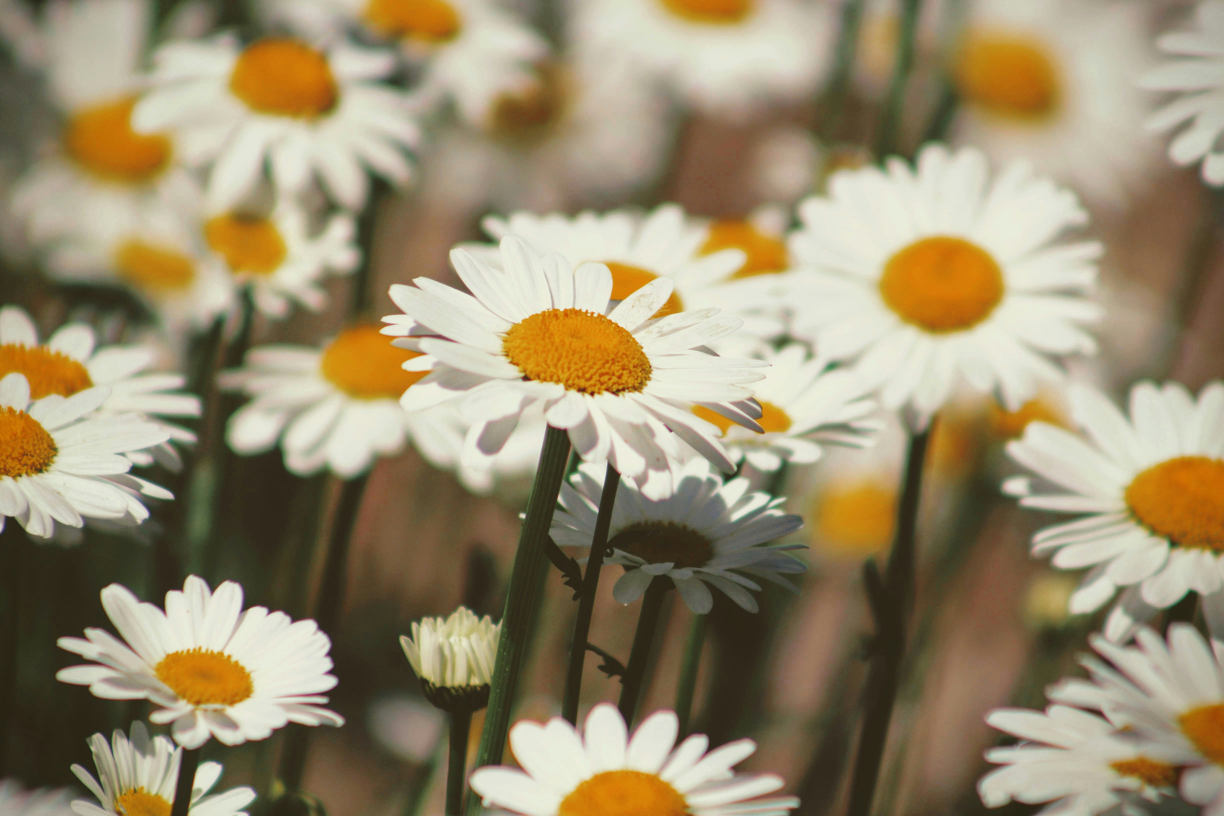 Photo by joshua_hoehne