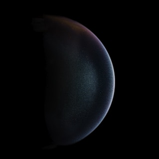 black round ball on white background