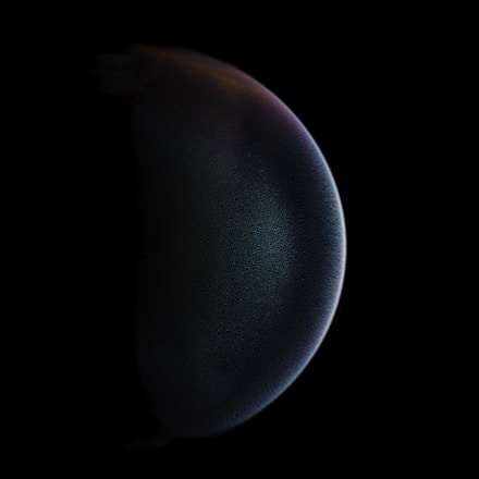 Ammonite Planet Guide: Complete Analysis of the Newly Discovered Trans-Neptunian Object