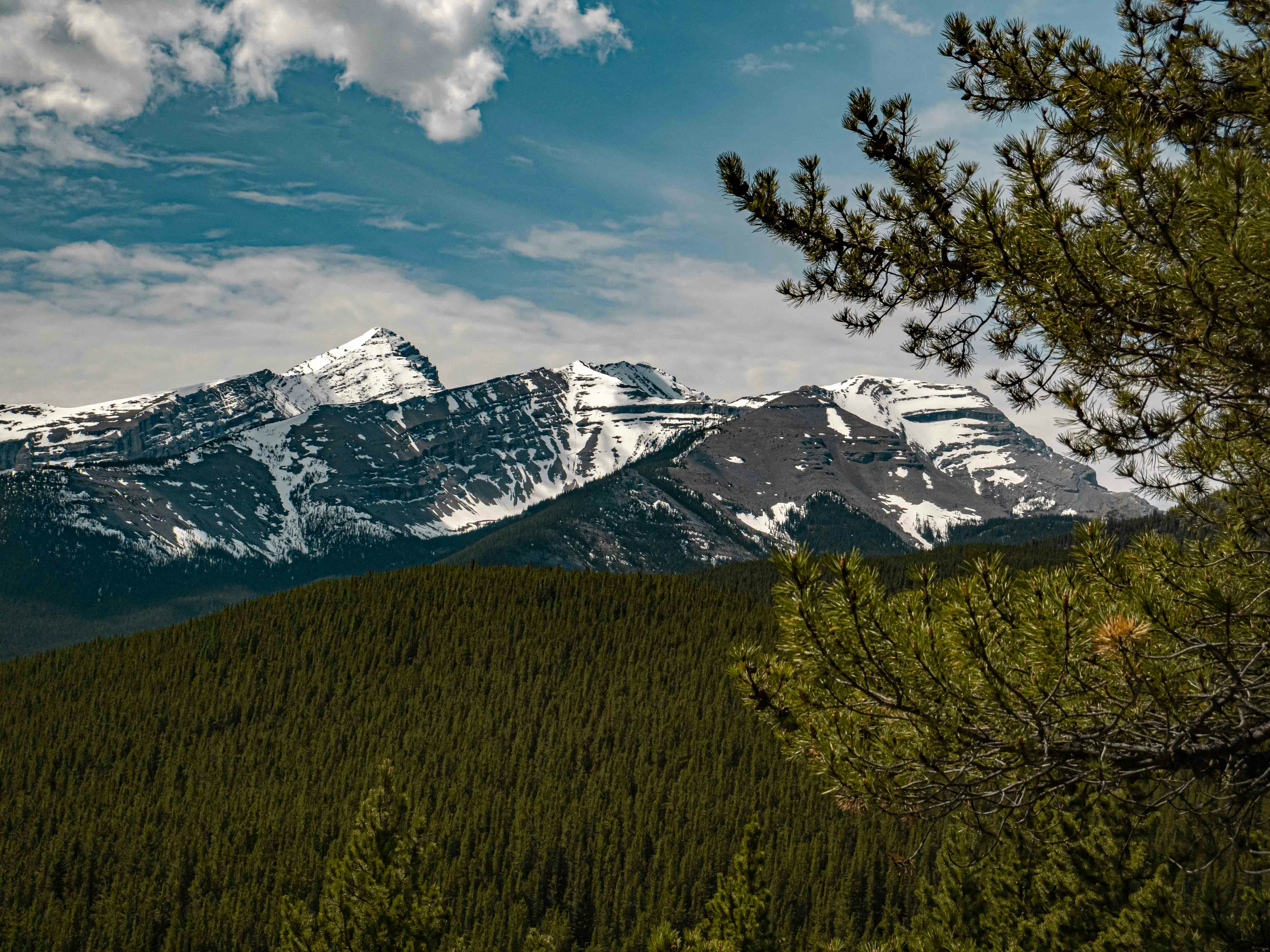 Photo by kieran_wood