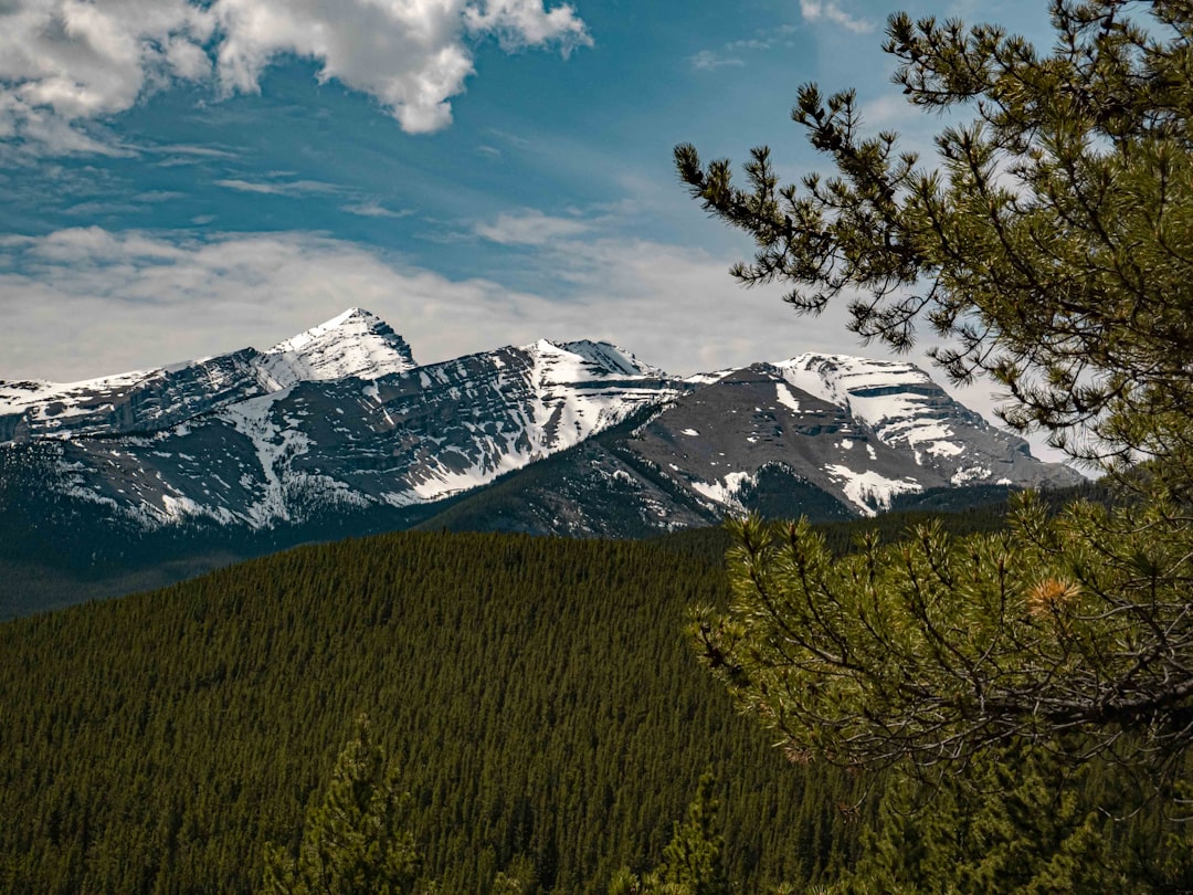 Mountain range photo spot Kananaskis Sulphur Mountain