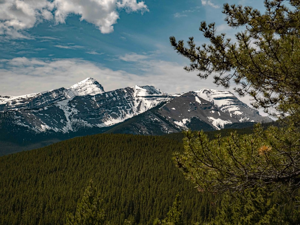 snow covered mountain under blue sky during daytime