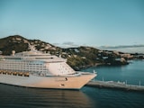 white cruise ship on sea during daytime