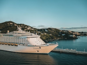 white cruise ship on sea during daytime