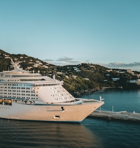 white cruise ship on sea during daytime