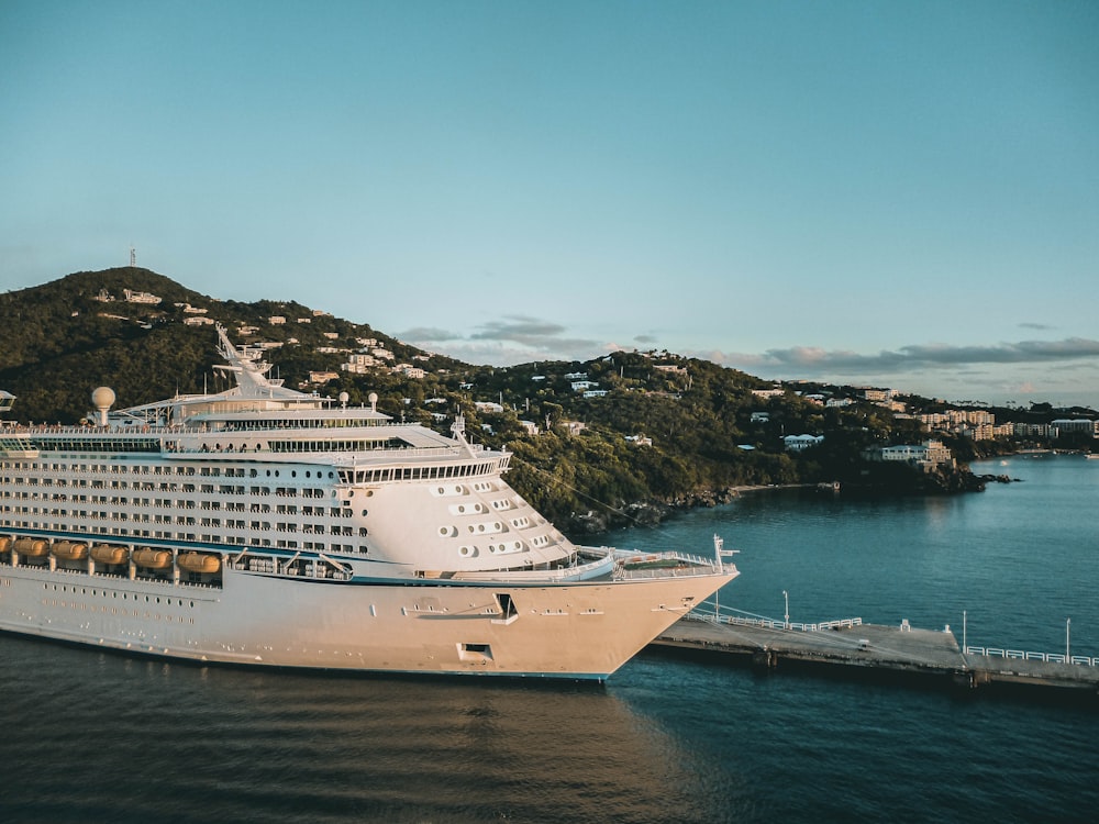 white cruise ship on sea during daytime