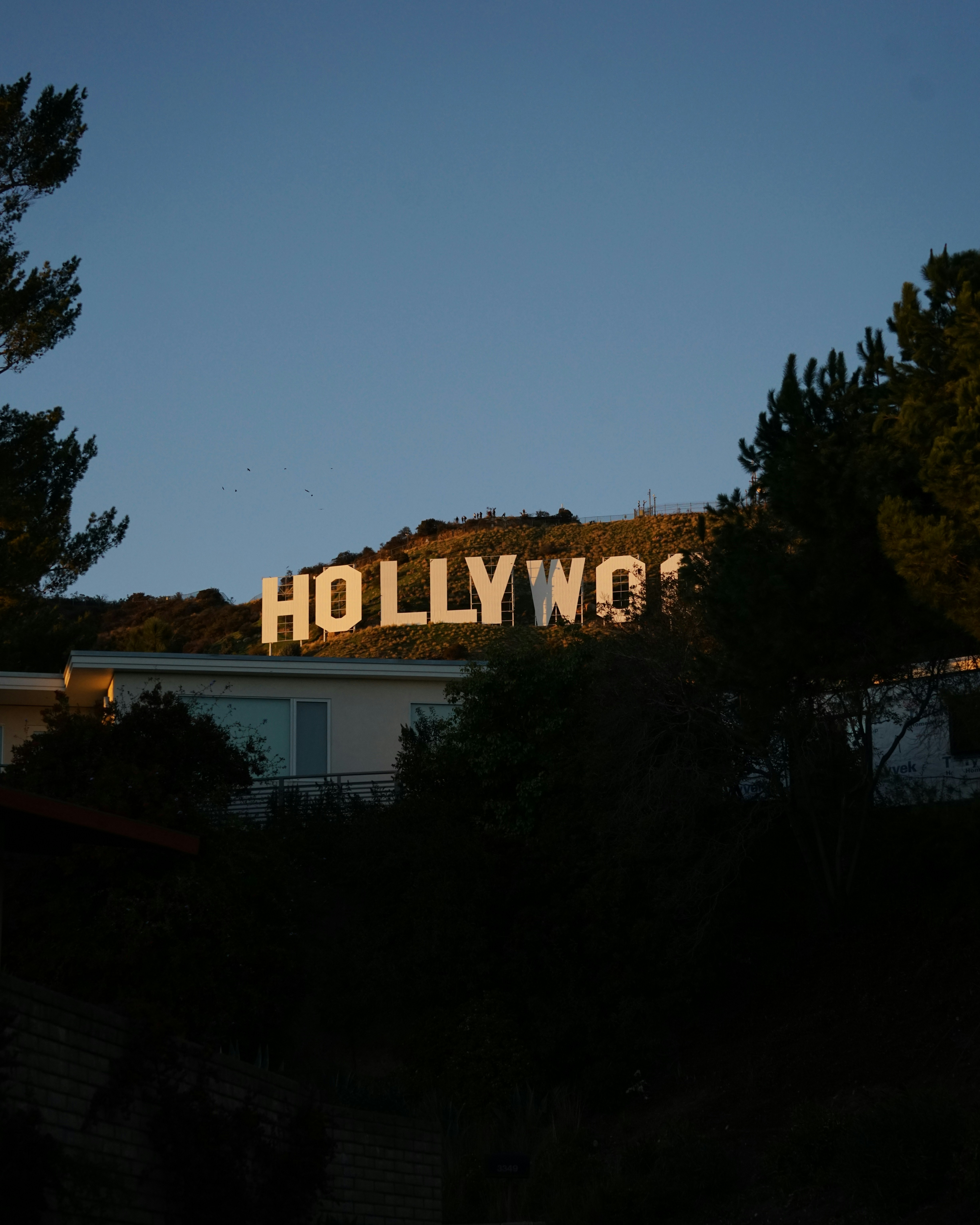 the hollywood sign is lit up at night