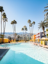 swimming pool near palm trees during daytime