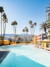 swimming pool near palm trees during daytime