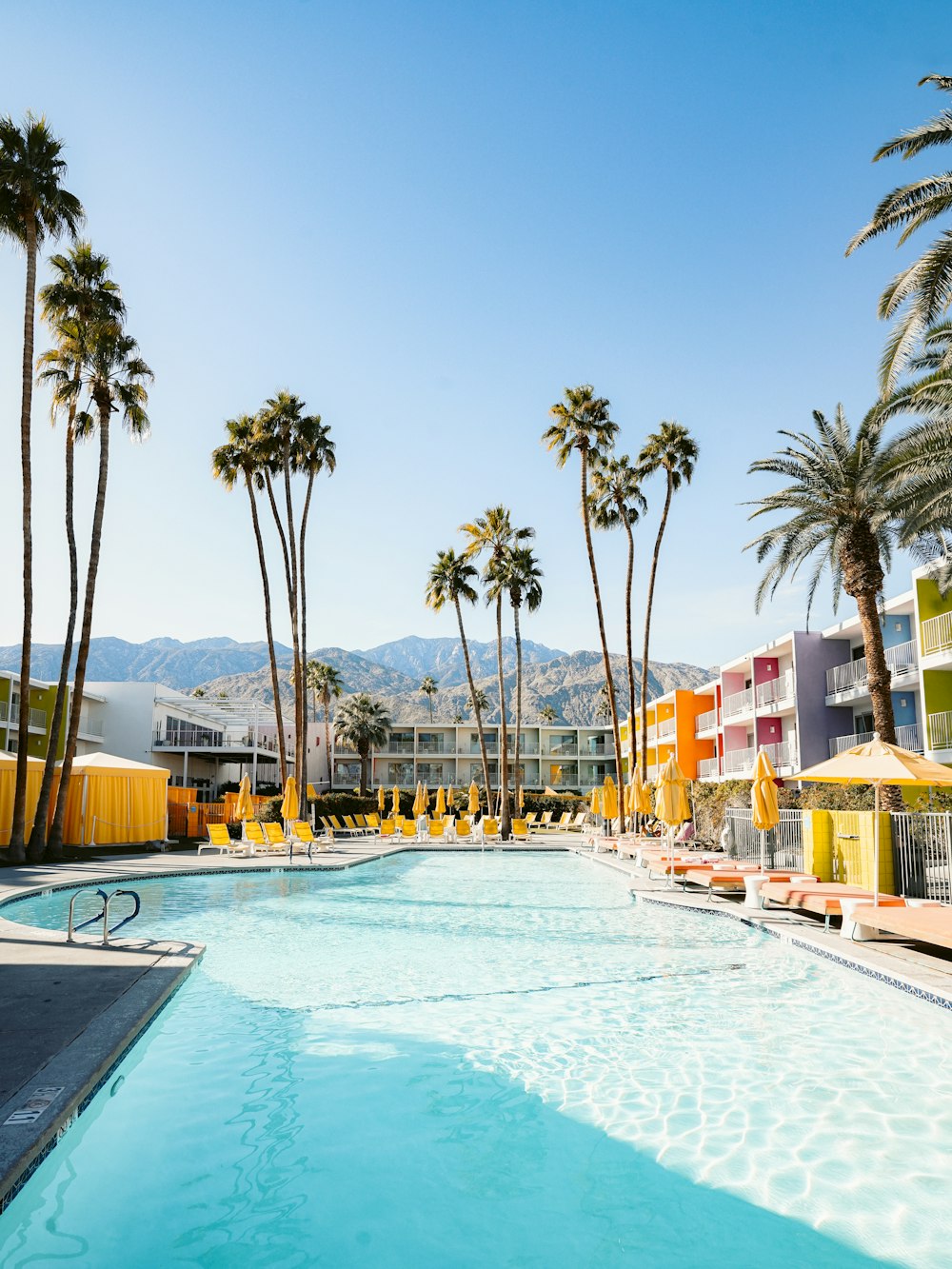 swimming pool near palm trees during daytime