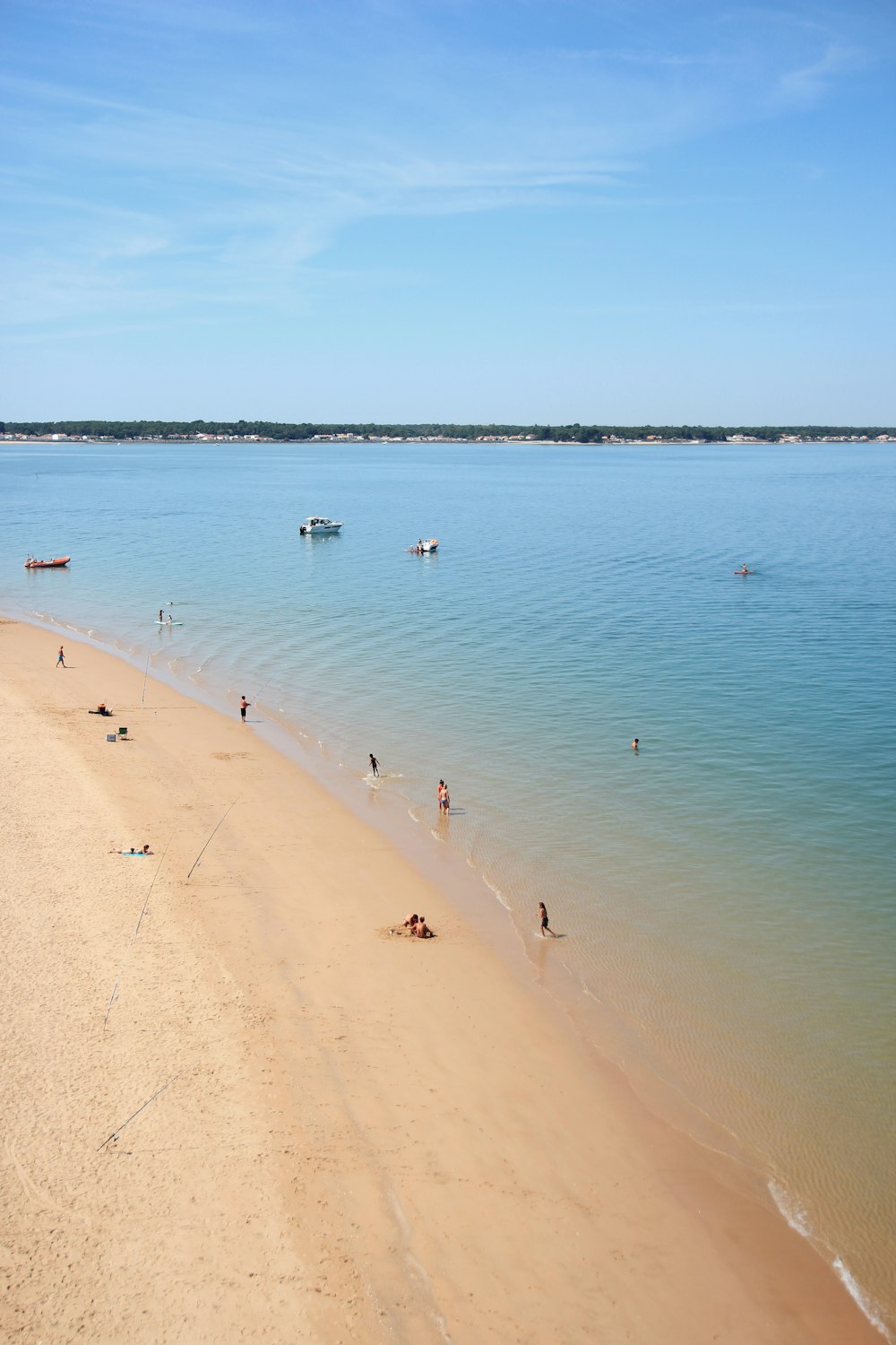 people on beach during daytime