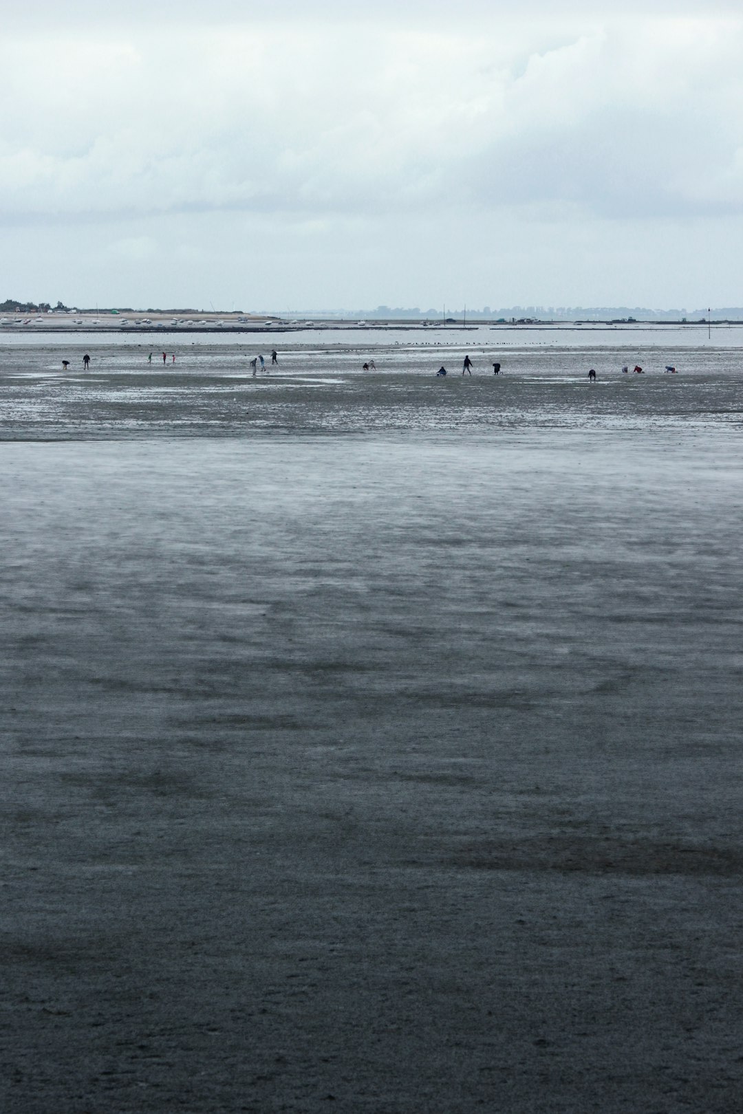 people on beach during daytime