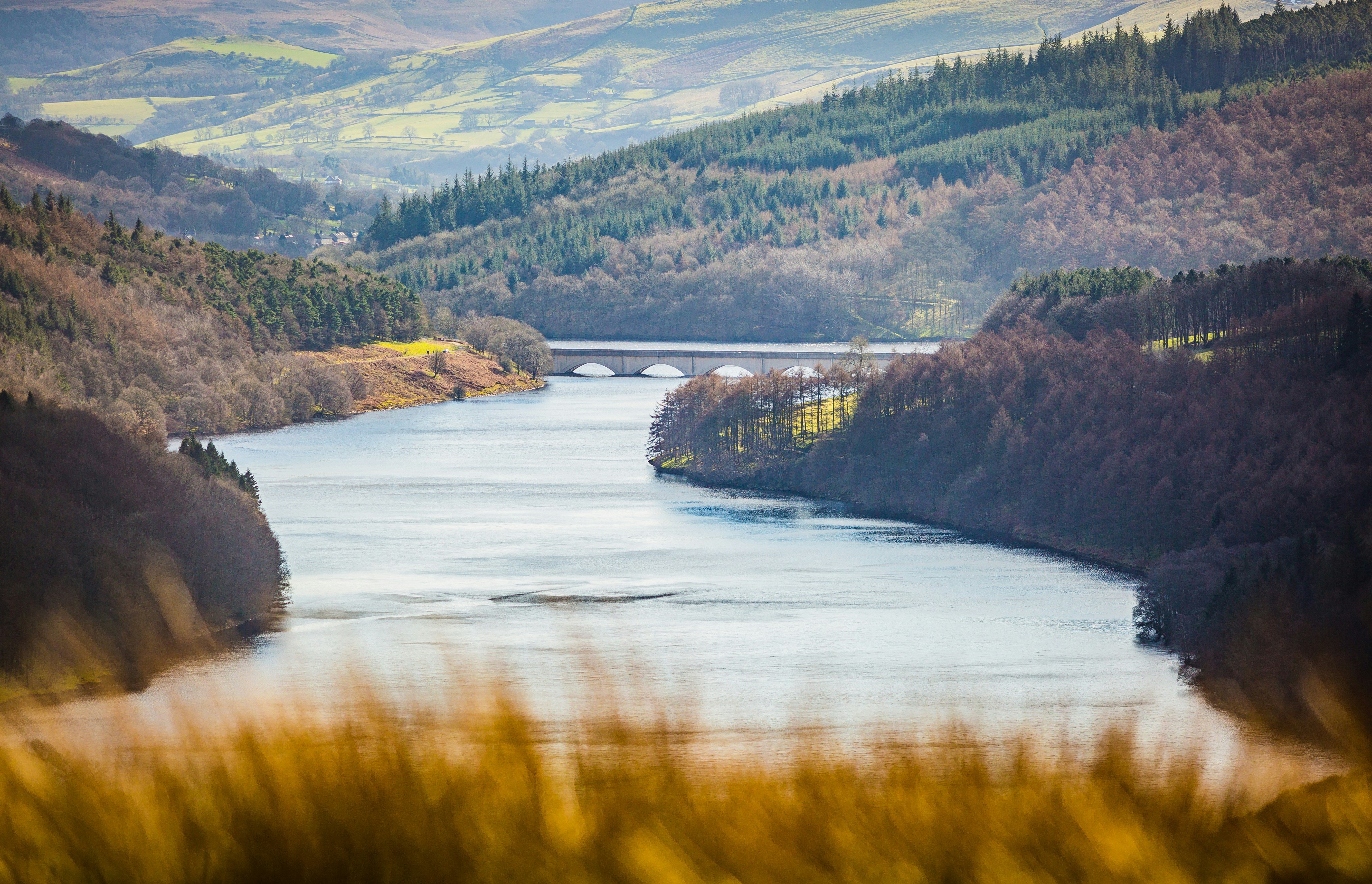 Photo by grahamdurham