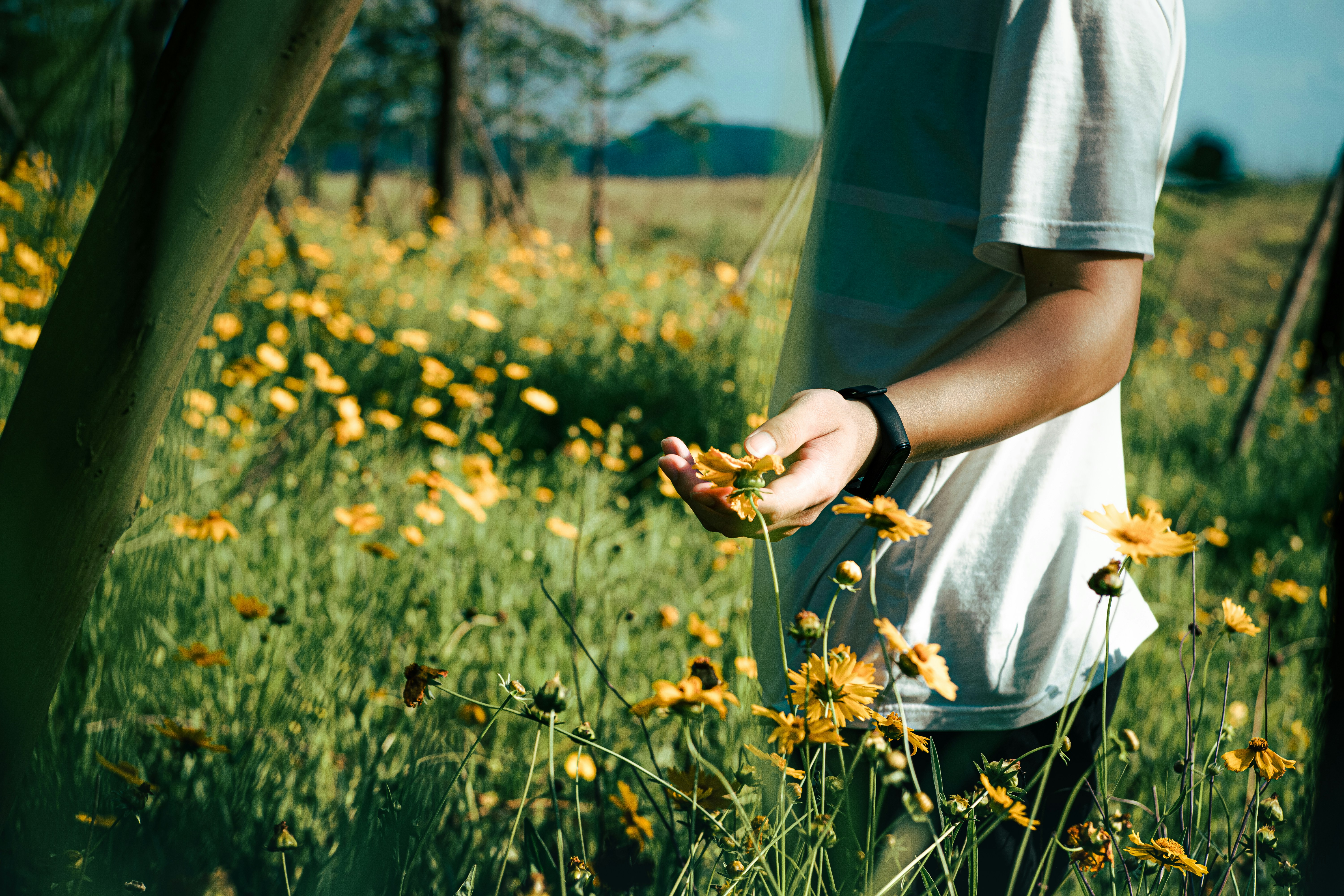 Photo by xiexianghua