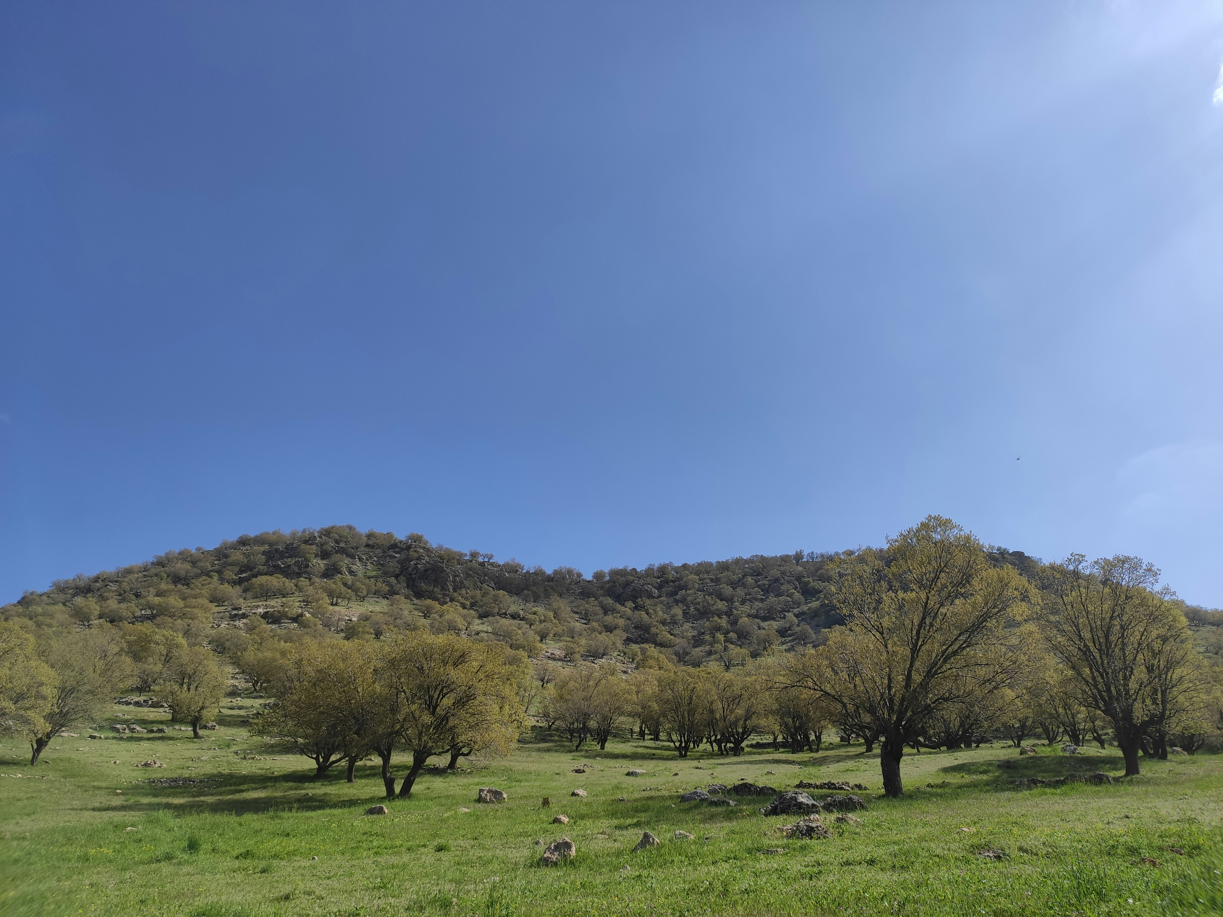 Photo by amirakbarip