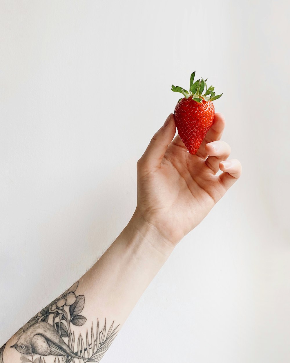 person holding red strawberry fruit