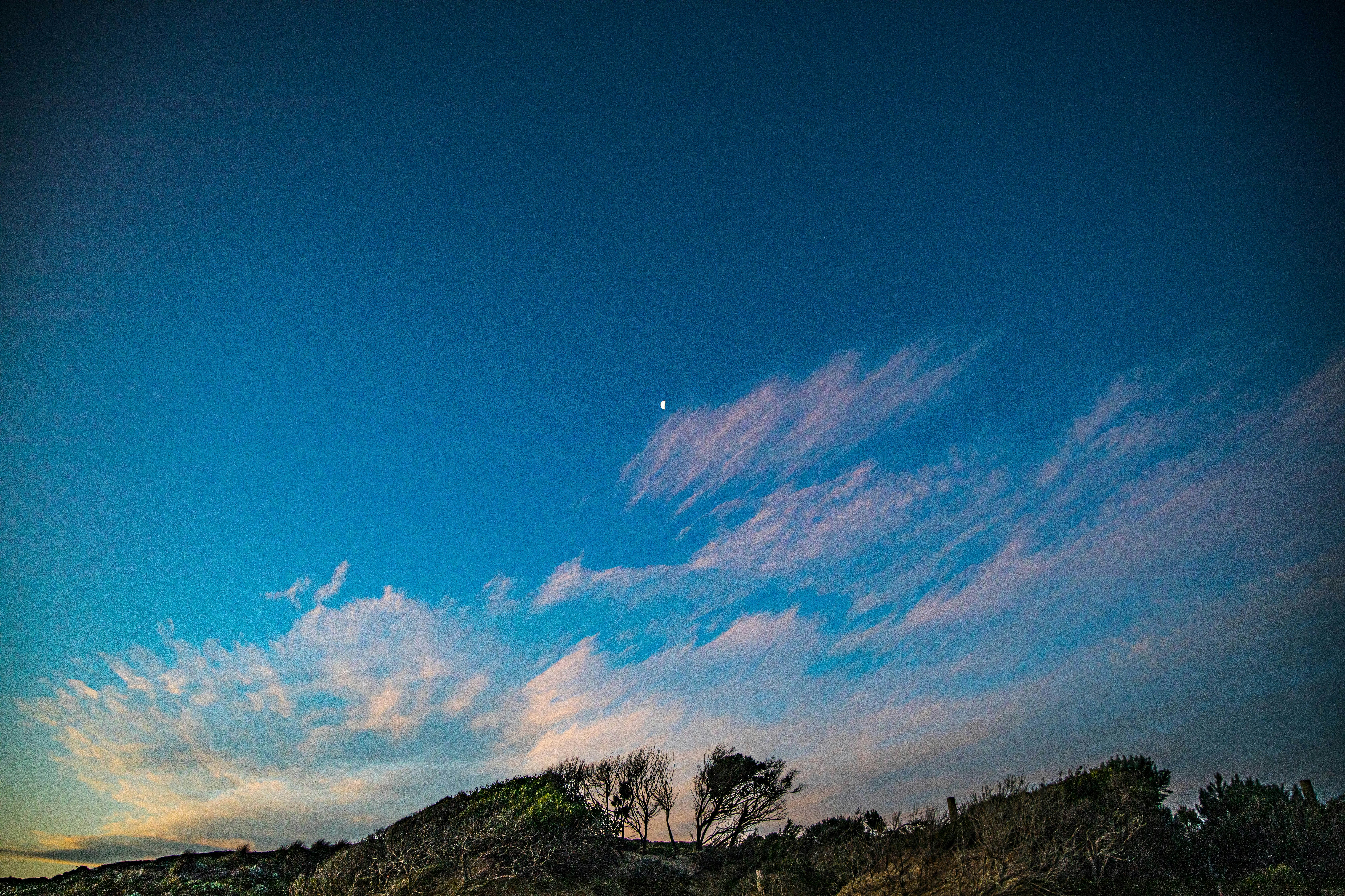 Photo by adrian_dutch