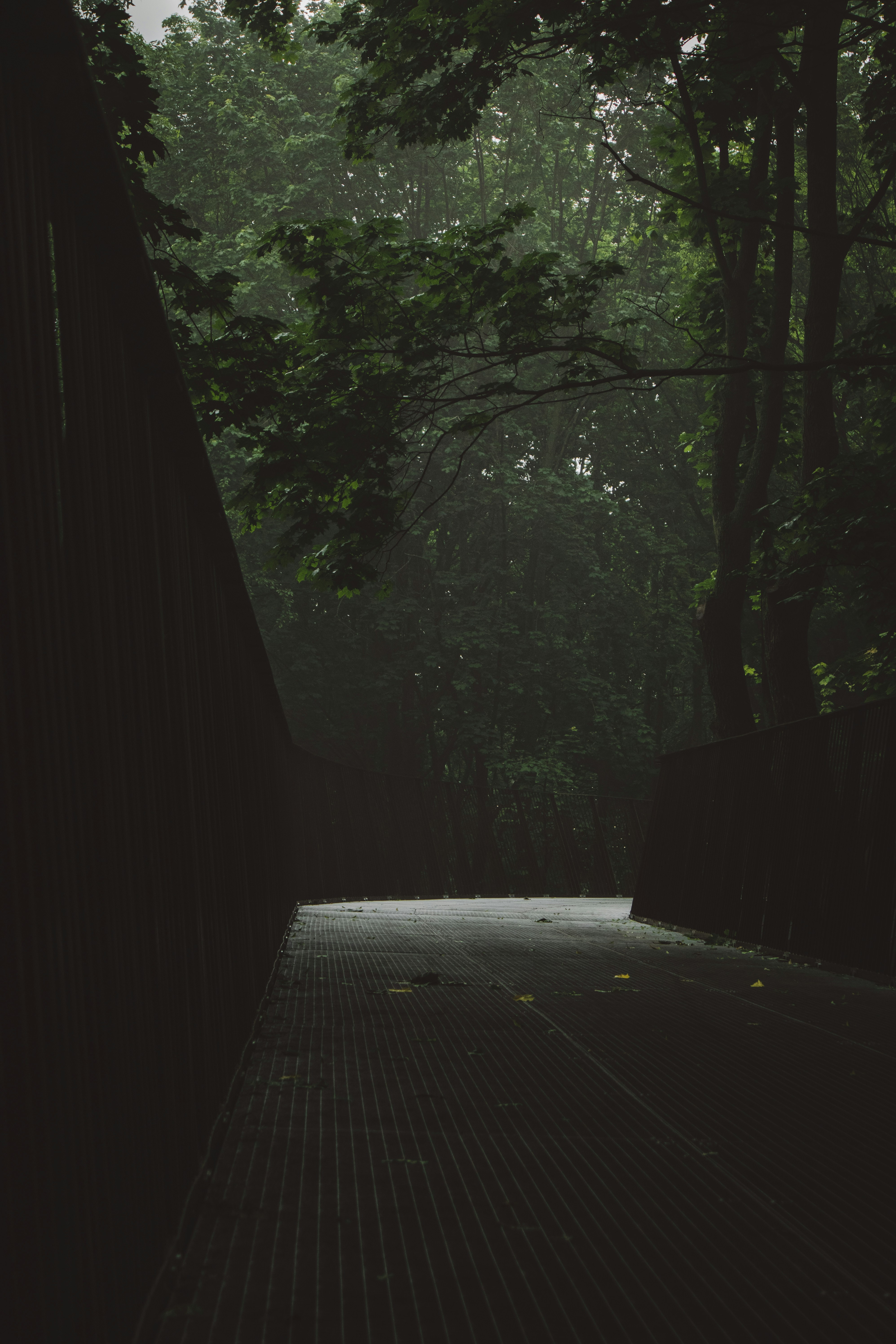 Photo by annahunko