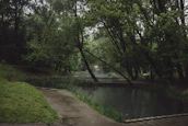 A serene nature scene symbolizing inner peace and transformation.
