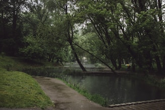 A serene nature scene featuring a tranquil pond surrounded by lush green foliage and tall trees. A path winds its way around the water, partially covered by shadows and sunlight filtering through the branches.