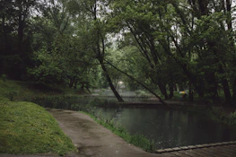 A serene nature scene symbolizing inner peace and transformation.
