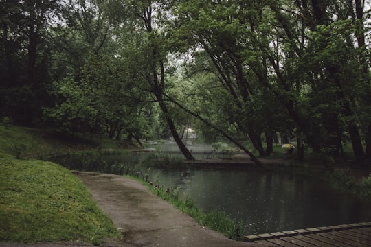 A serene nature scene symbolizing personal growth and inner peace.