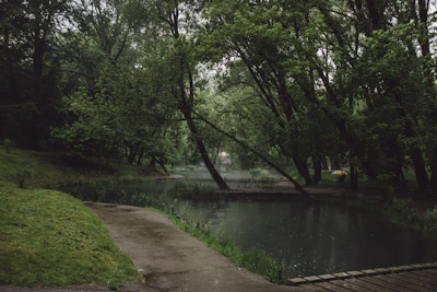 A serene nature scene with an overlay of an uplifting quote about growth and change.