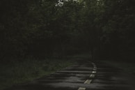 A winding country road disappearing into a forest, inviting adventure and possibility.