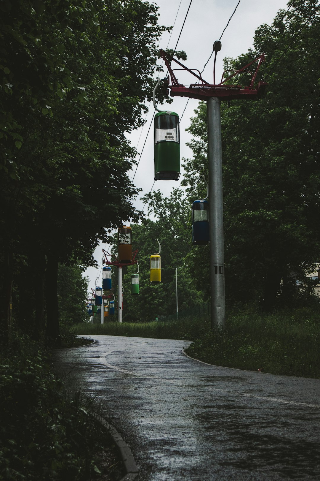 green trees beside gray concrete road