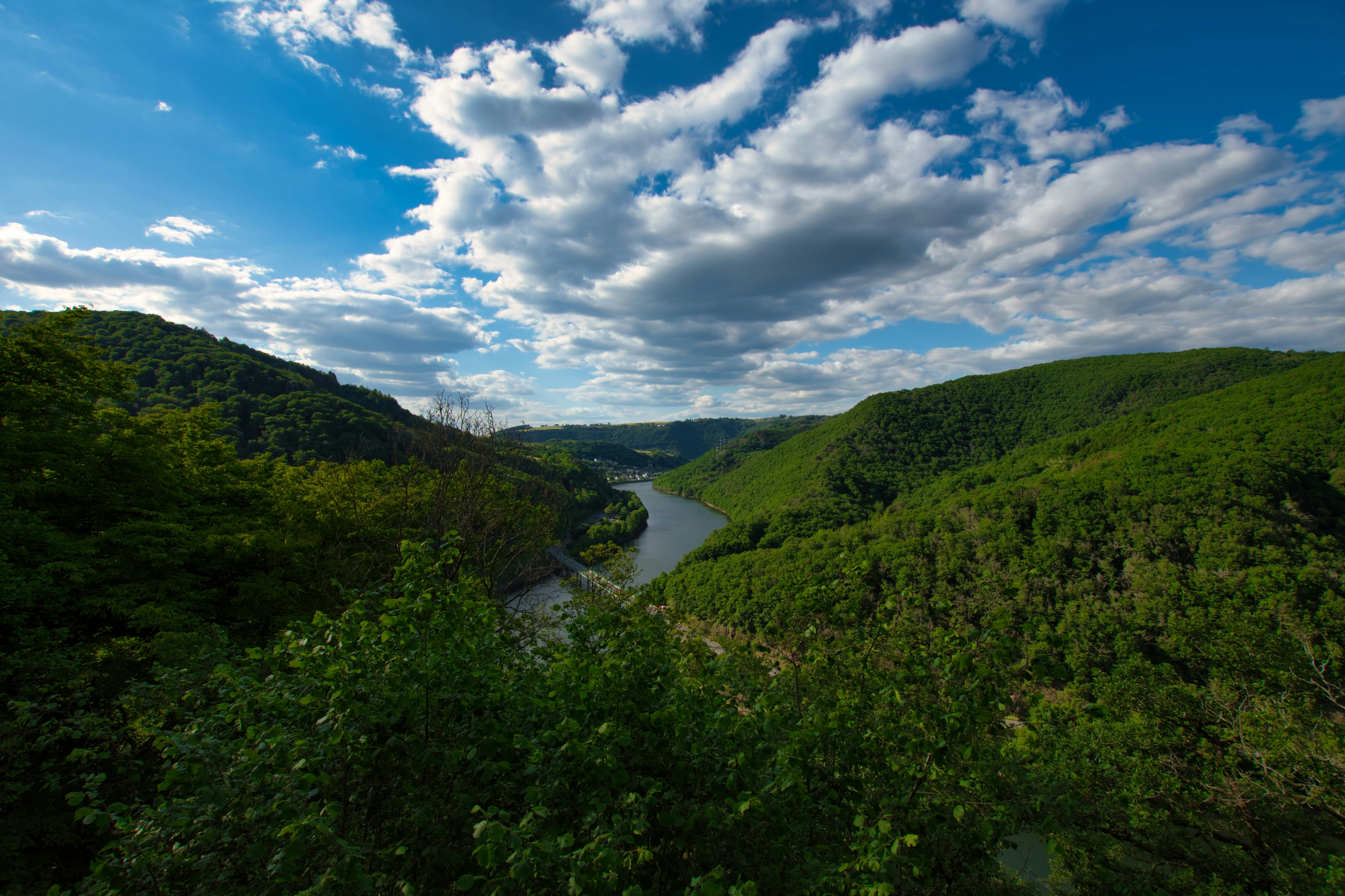 Photo by gabor_koszegi