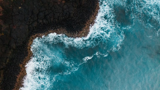 brown and black rock formation on body of water in Fingal Head Australia