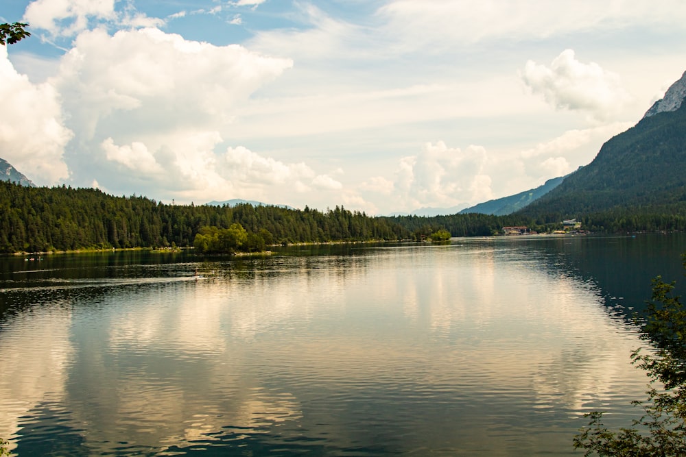 green trees near body of water under white clouds during daytime