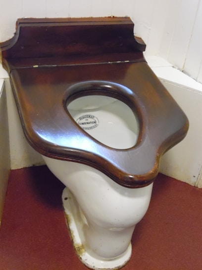 A stylish collection of toilet seats in various designs.